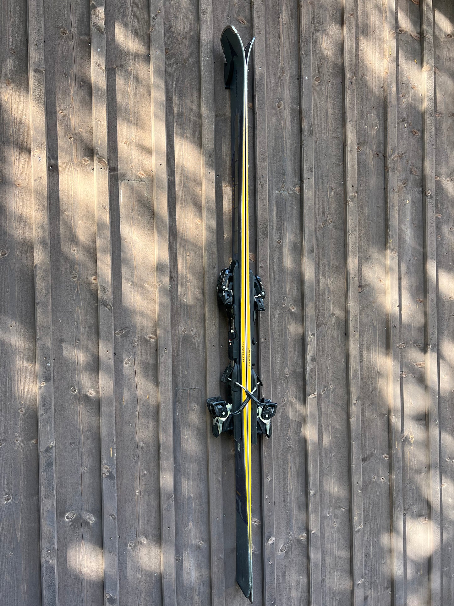 AlpineGrip - Skidhållare för alpinskidor