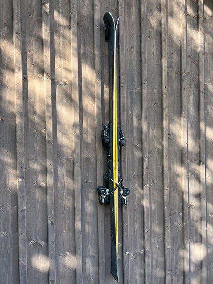 AlpineGrip - Skidhållare för alpinskidor